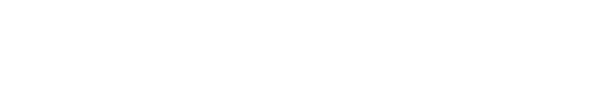 Skashi & Associates logo White